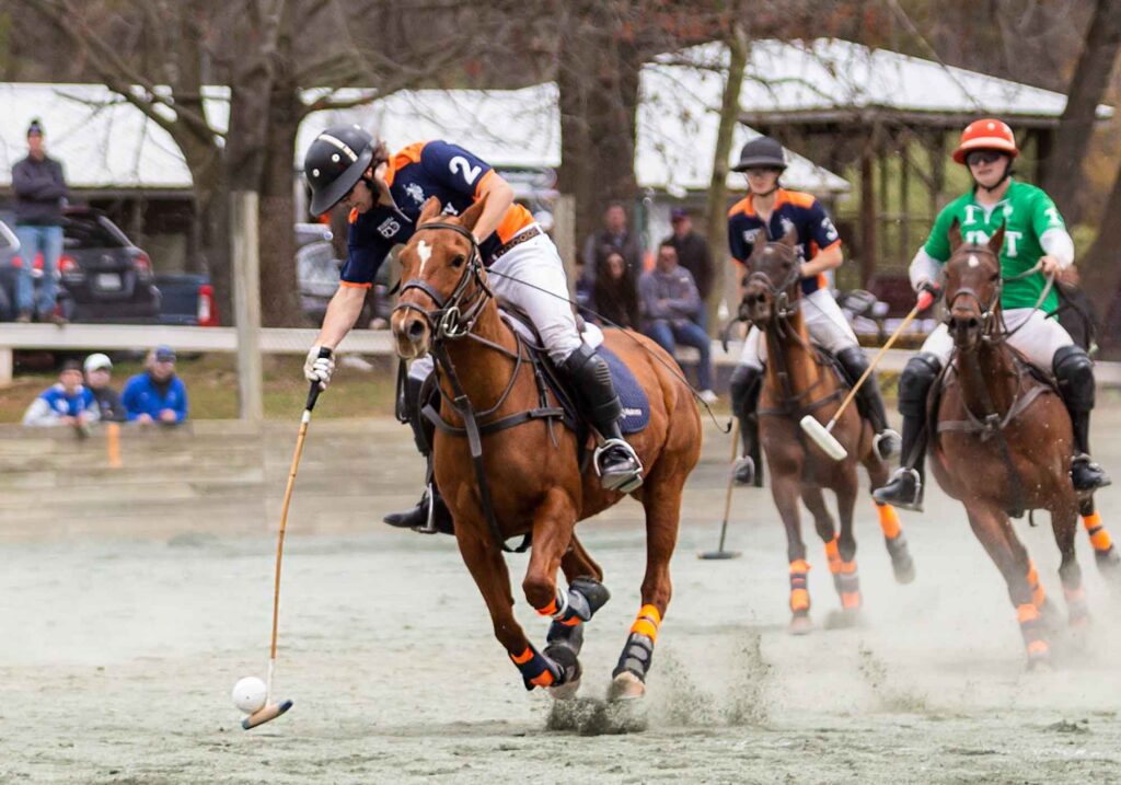 UVA polo Parker Pearce